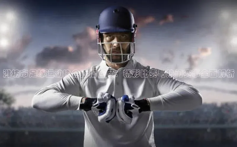 中欧体育网页中文在线