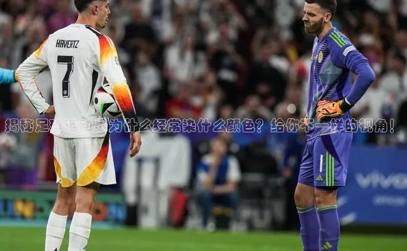 zoty中欧体育全站光魔科技