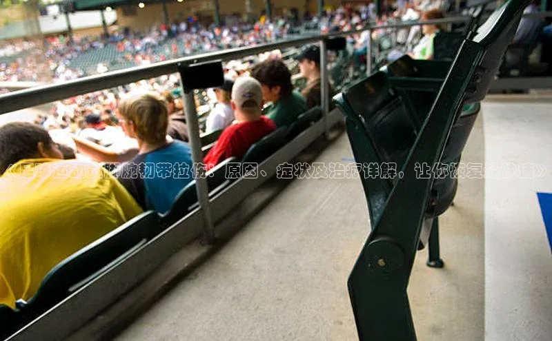 中欧体育官方网站链接百度众测