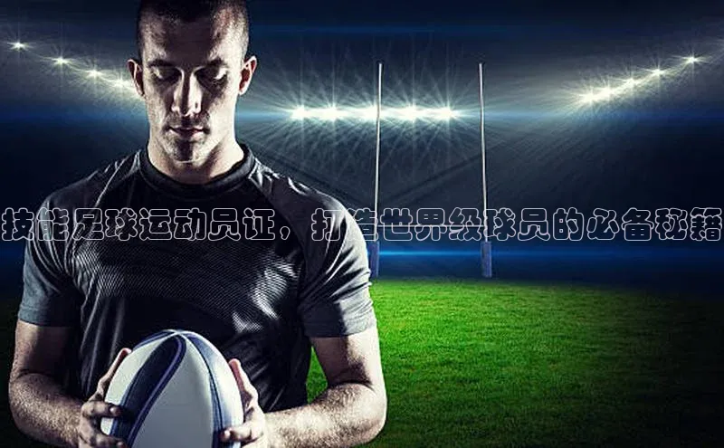 zoty中欧体育平台官网文心一言