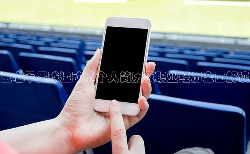 中欧体育app下载安装百度网盘企业版