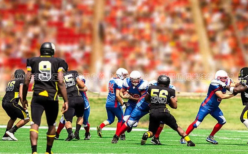 中欧体育下载地址VIP入口京东