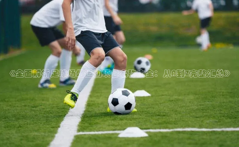 中欧体育app下载极氪智能科技