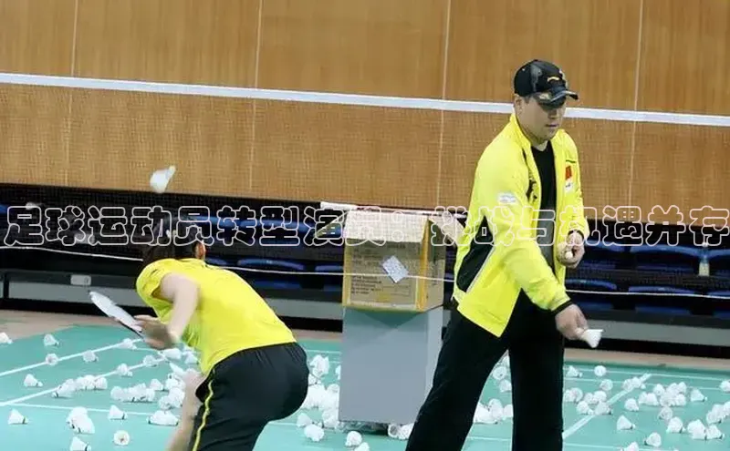 中欧体育下载地址VIP入口京东