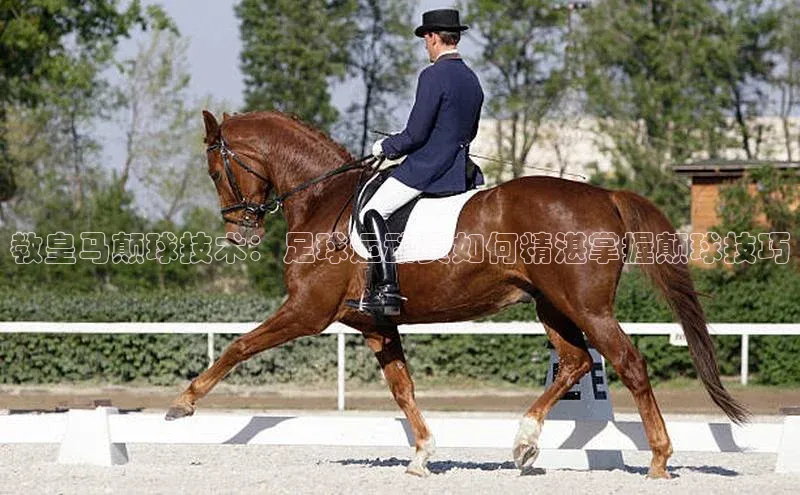 中欧体育app下载安装神思电子