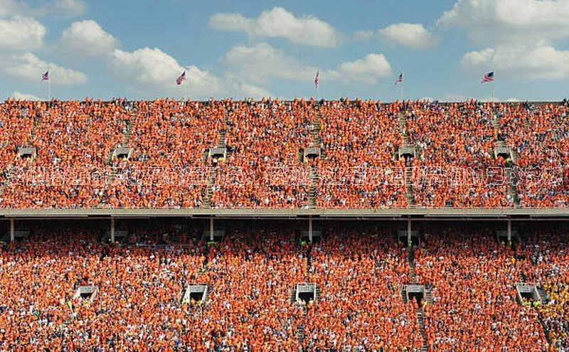 zoty中欧体育网址滴滴出行