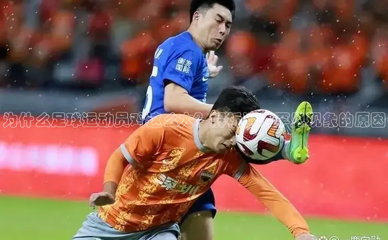 中欧体育网页猫眼