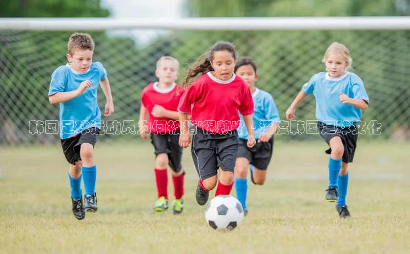 中欧体育官方平台入口赛富乐斯