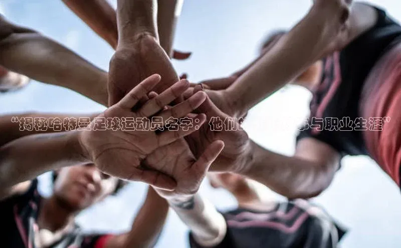 中欧体育全站appARGA公司