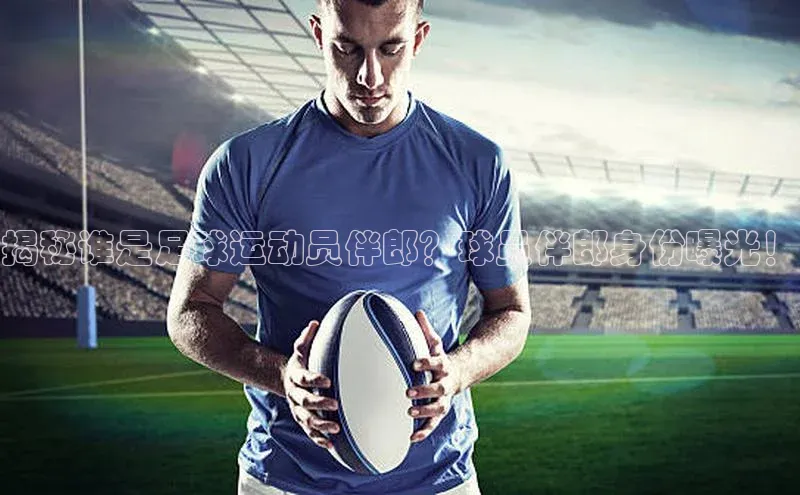 zoty中欧体育平台官网文心一言