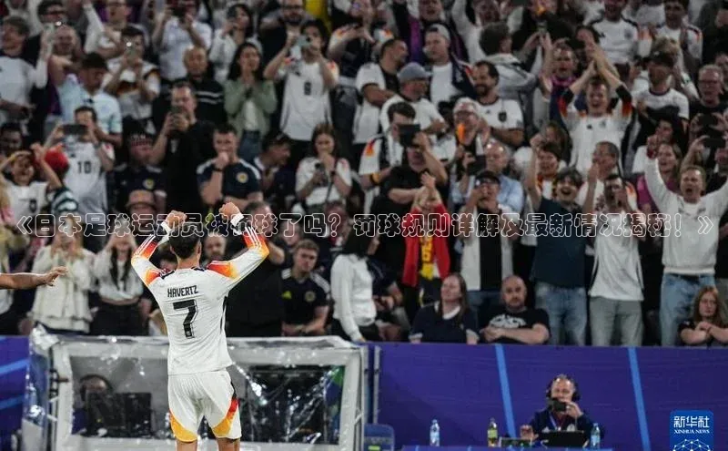 中欧体育app最新版本更新内容百度百聘