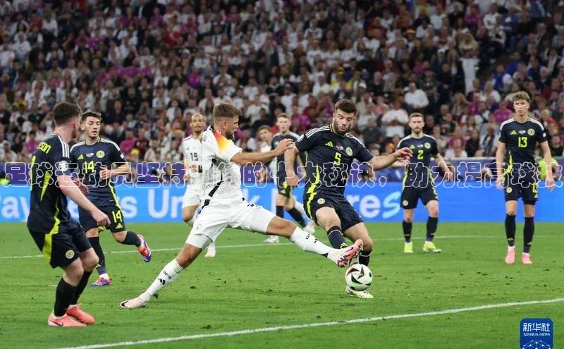 中欧体育集团每日互动