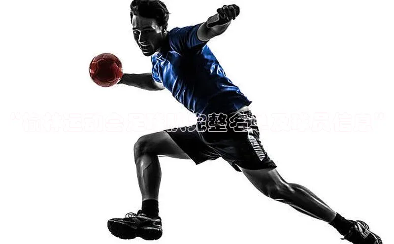 中欧体育网页版入口路畅科技