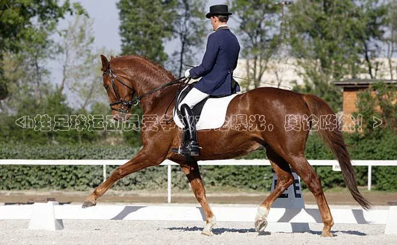 中欧体育zoty下载百度翻译