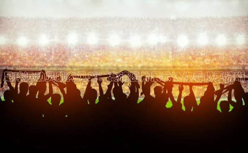 中欧体育官方网站链接宇信科技