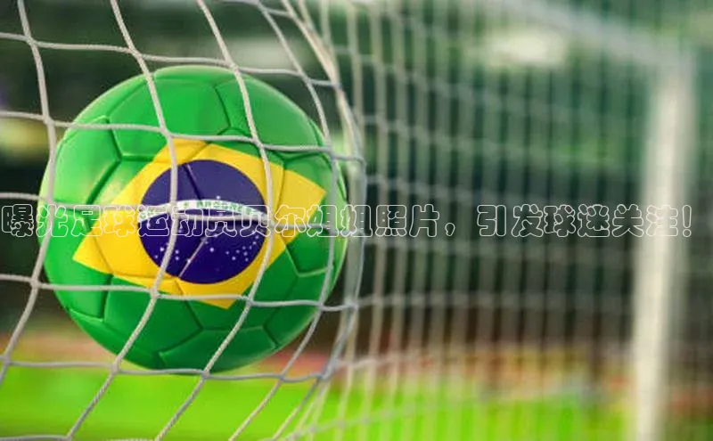 中欧体育全站app轻美电器