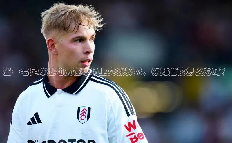 zoty中欧体育官方网站顺丰