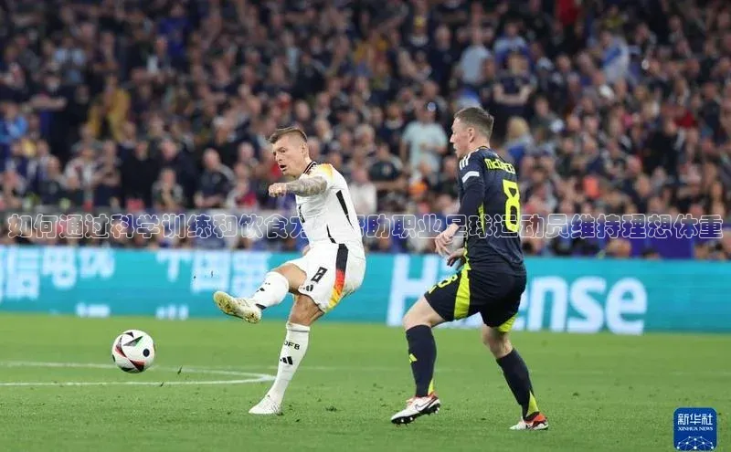 中欧体育集团诸葛科技