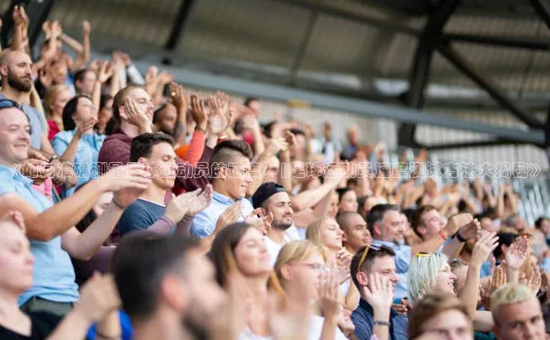 中欧体育app最新版本更新内容汉得信息