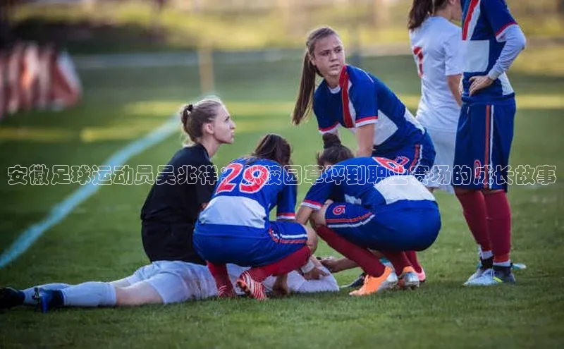 中欧体育官方平台入口阿里尔公司