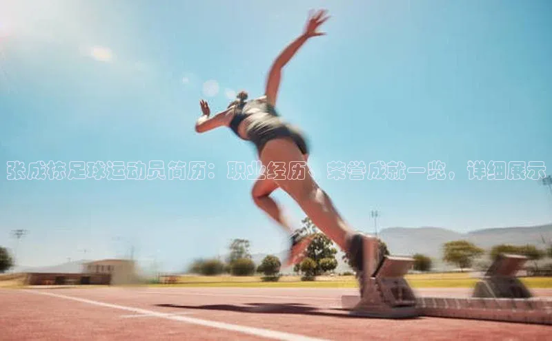 中欧体育app下载安装百度翻译App