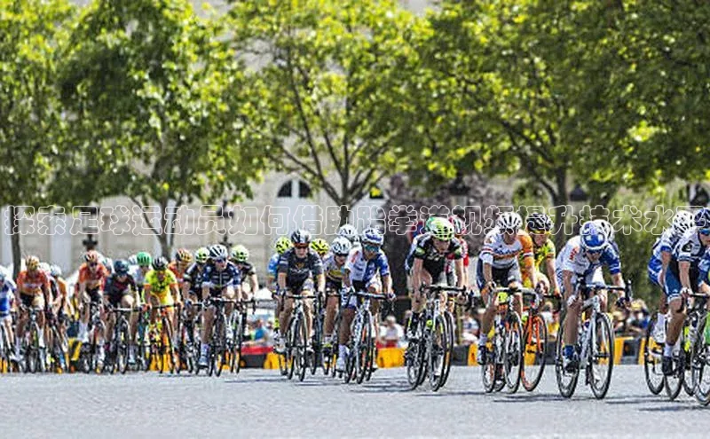 zoty中欧体育全站光魔科技