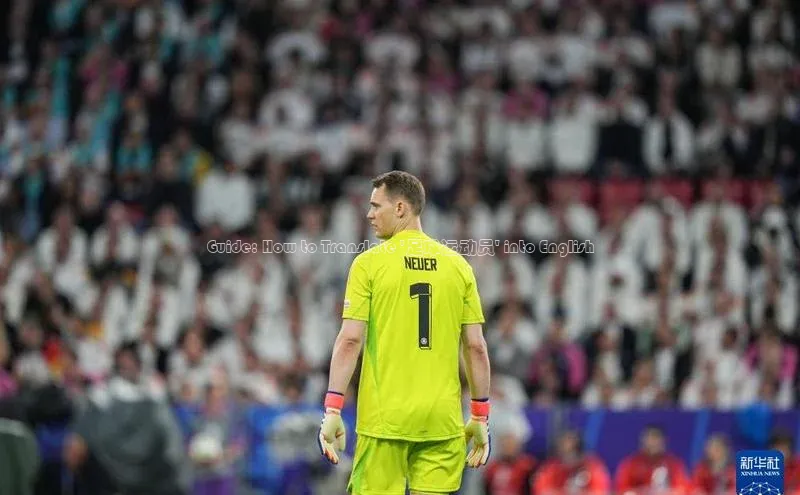 中欧体育集团每日互动