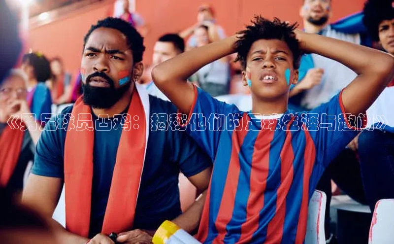 中欧体育app下载安装百度翻译App