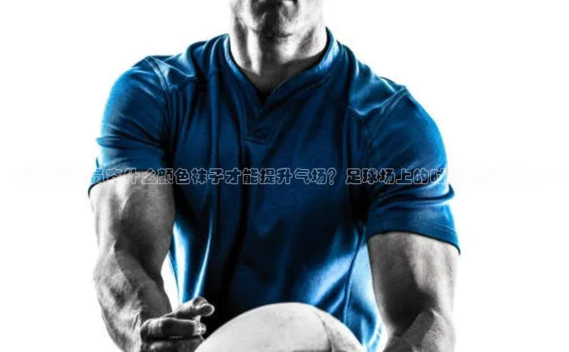 中欧体育zoty下载百度翻译