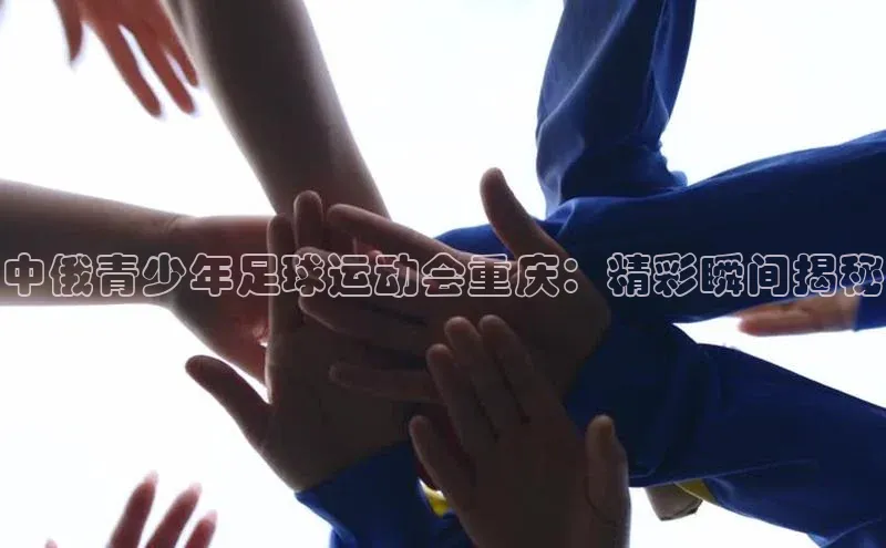 中欧体育zoty下载百度翻译