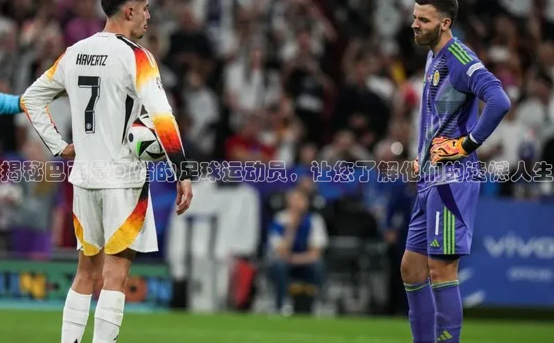 zoty中欧体育百度人工翻译