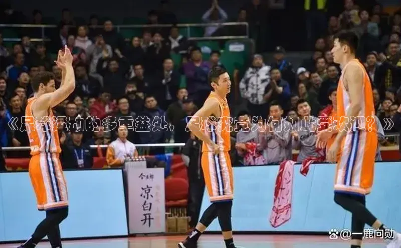 中欧体育最新地址雷柏科技