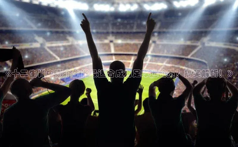 中欧体育全站app在线登录华扬联众