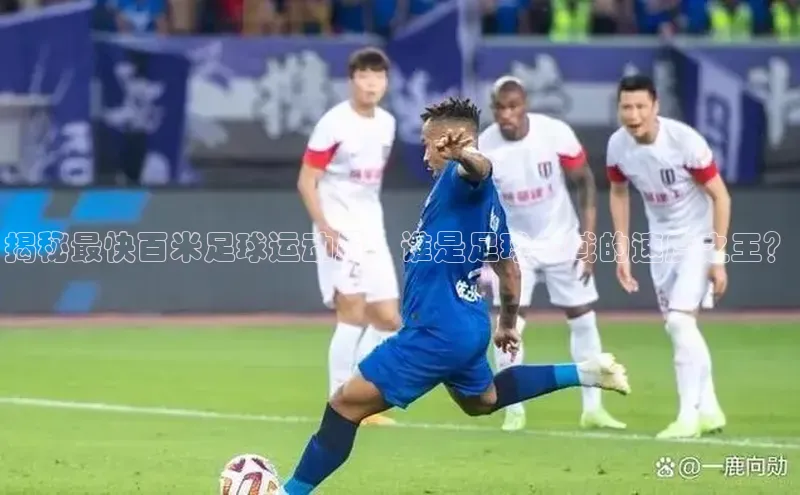 中欧体育app最新版本更新内容汉得信息