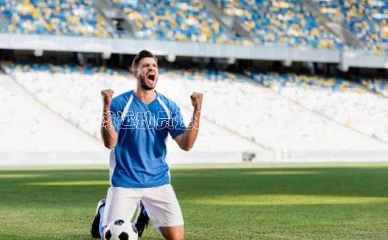 中欧体育zoty下载百度翻译