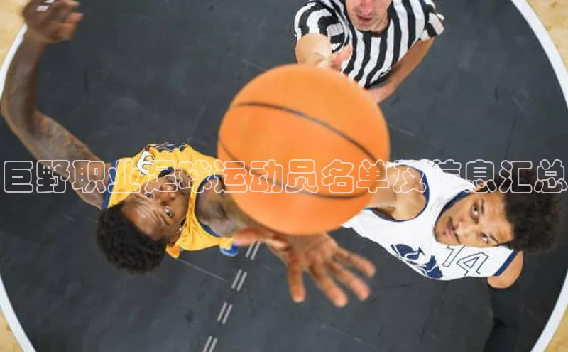 中欧体育app最新版本更新内容网易