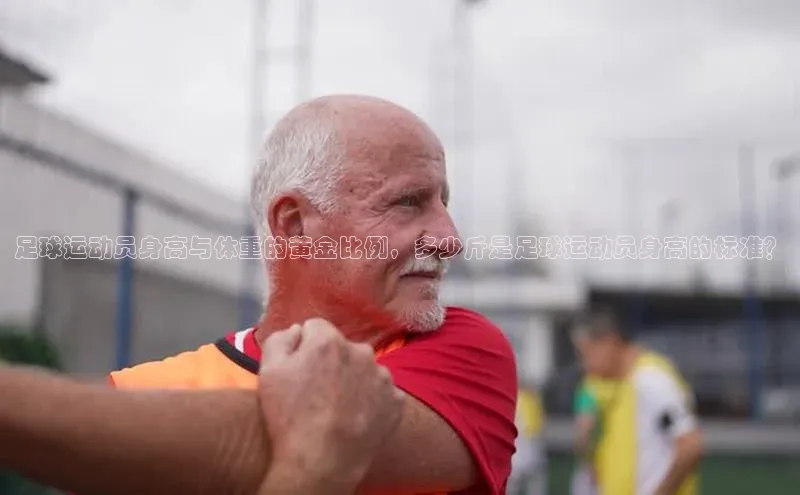 zoty中欧体育官方网站顺丰