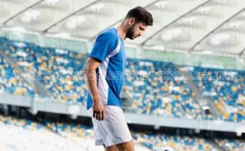 中欧体育全站app在线登录小米