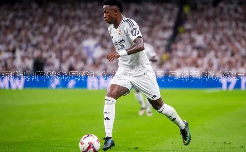 中欧体育app下载一径科技