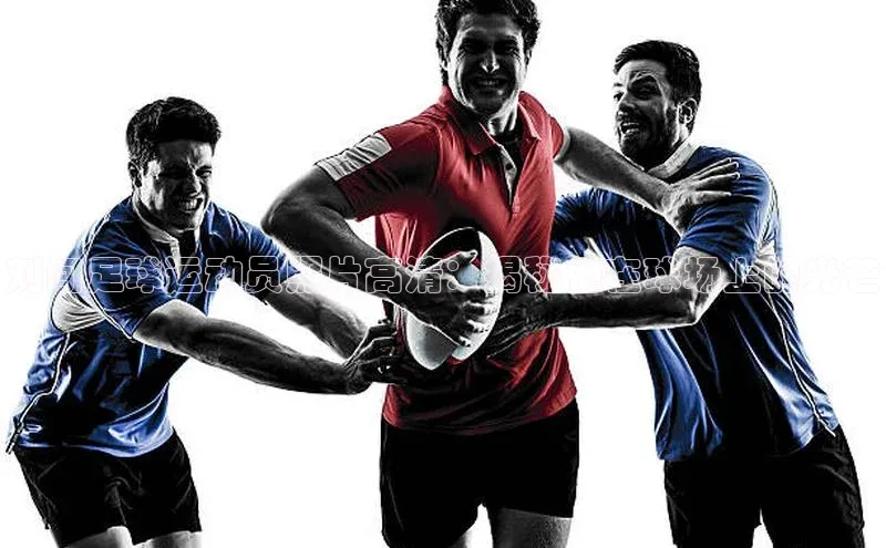 zoty官方体育网页版携程