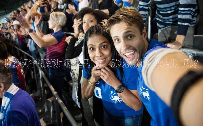 中欧体育下载地址VIP入口京东