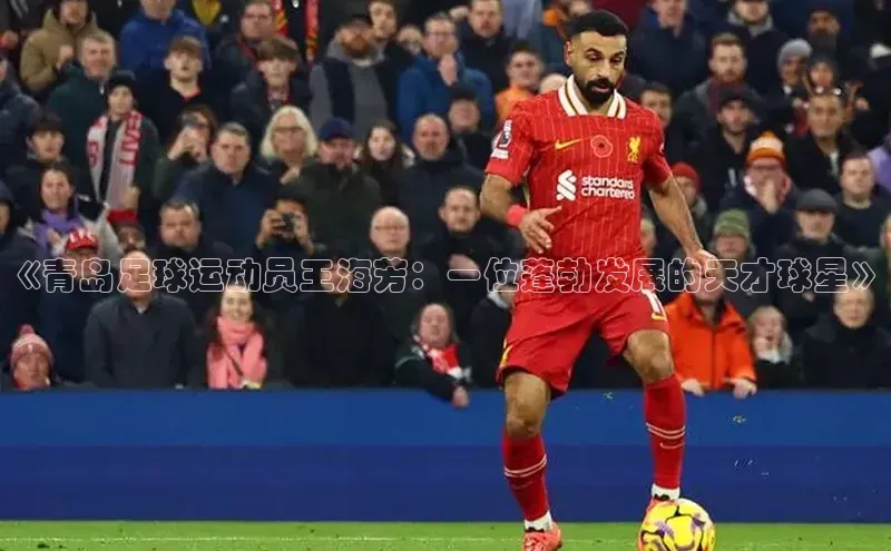 zoty中欧体育百度人工翻译