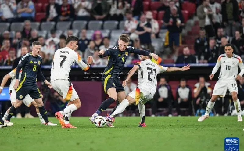 zoty中欧体育梯哥哥科技