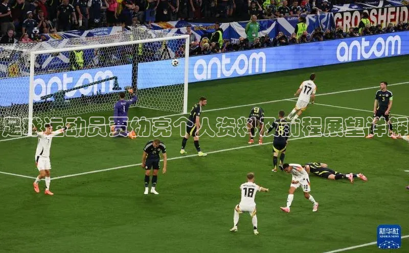 中欧体育官方网站链接宇信科技