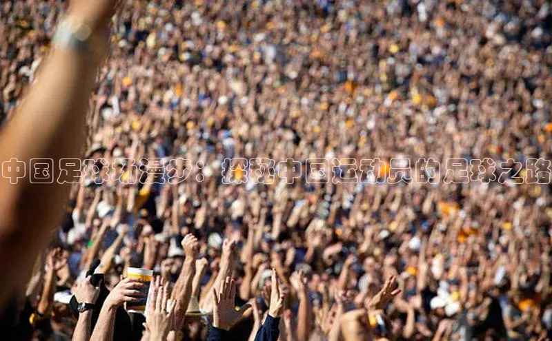 中欧体育官方平台入口下载挪威主权基金