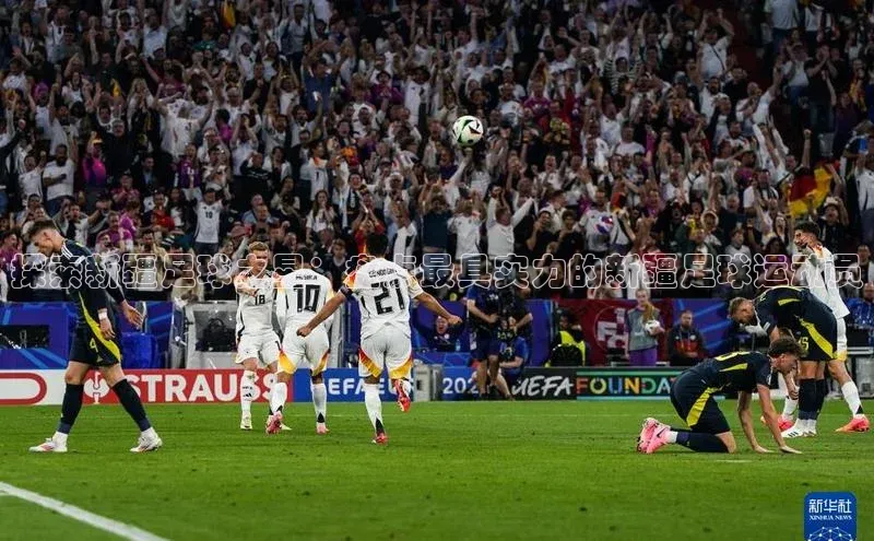 中欧体育app最新版本更新内容网易