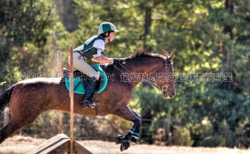 zoty中欧体育平台官网文心一言