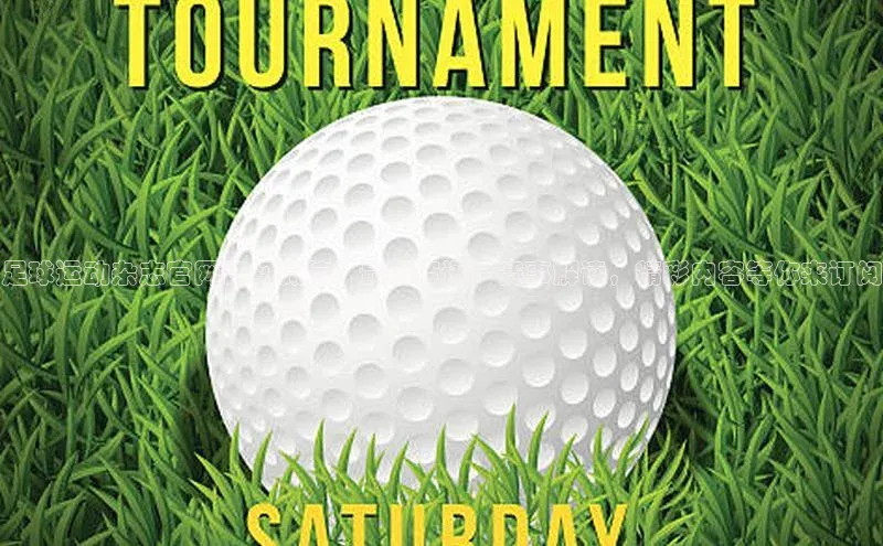 中欧体育app最新版本更新内容网易