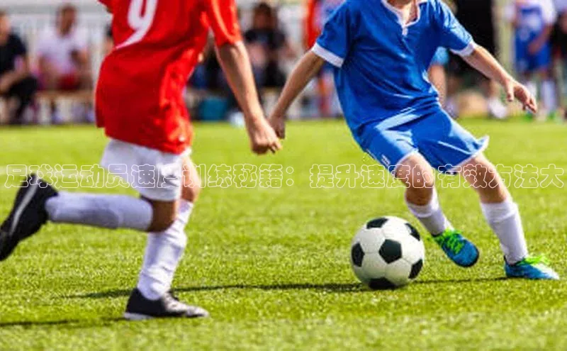 中欧体育网页猫眼