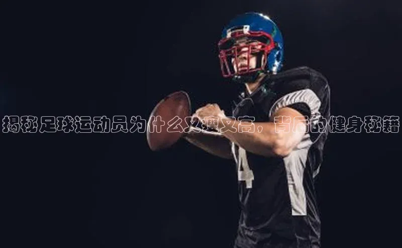 中欧体育官方平台入口赛富乐斯